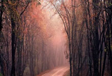 听民意 汇民智丨让“民意直通车”更加便捷高效——2025年旁听全国两会工作扫描