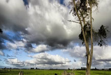 车坏了没配件修不了 车主吐槽：17万买的哪吒成了大号老头乐