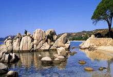 听民意 汇民智丨让“民意直通车”更加便捷高效——2025年旁听全国两会工作扫描